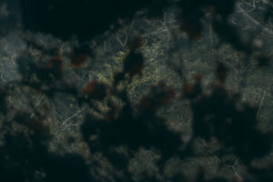 Thumbnail of post image 094